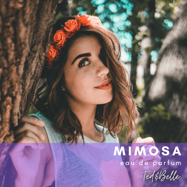 Mimosa